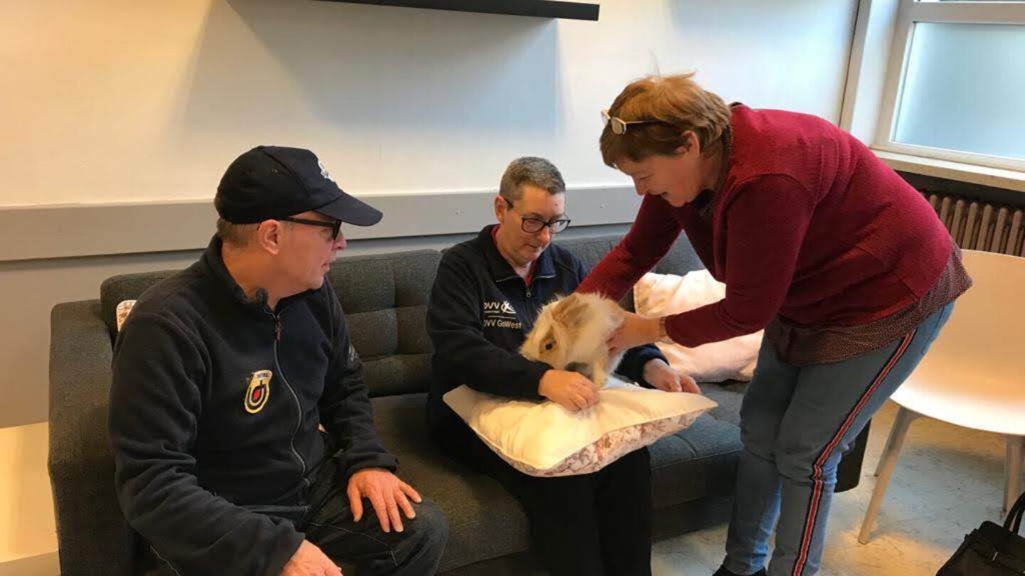 85198742 1315582335294866 267313387203985408 o