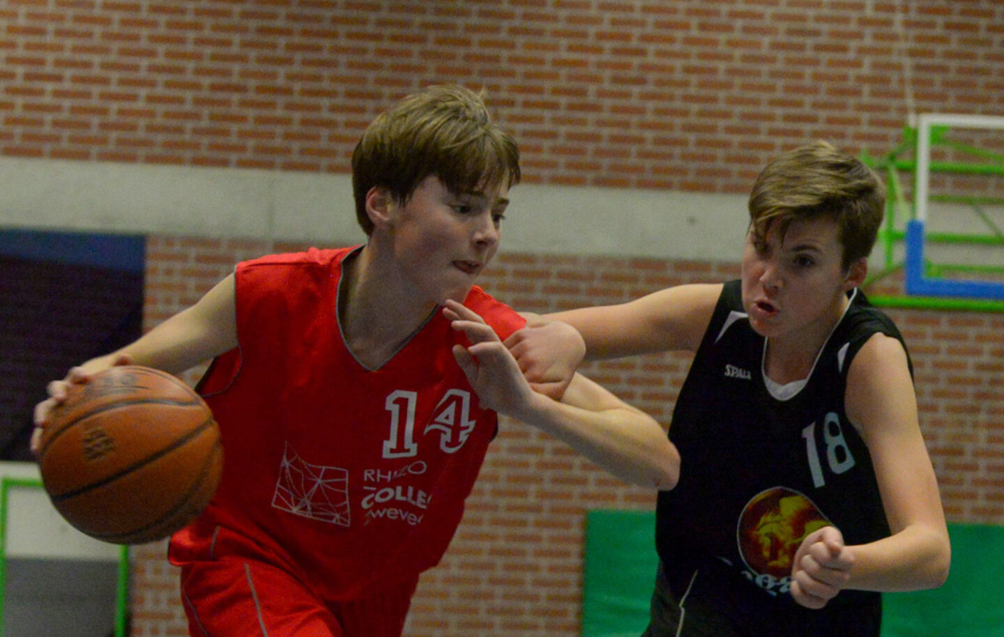 28 Nov Schlbasket 013